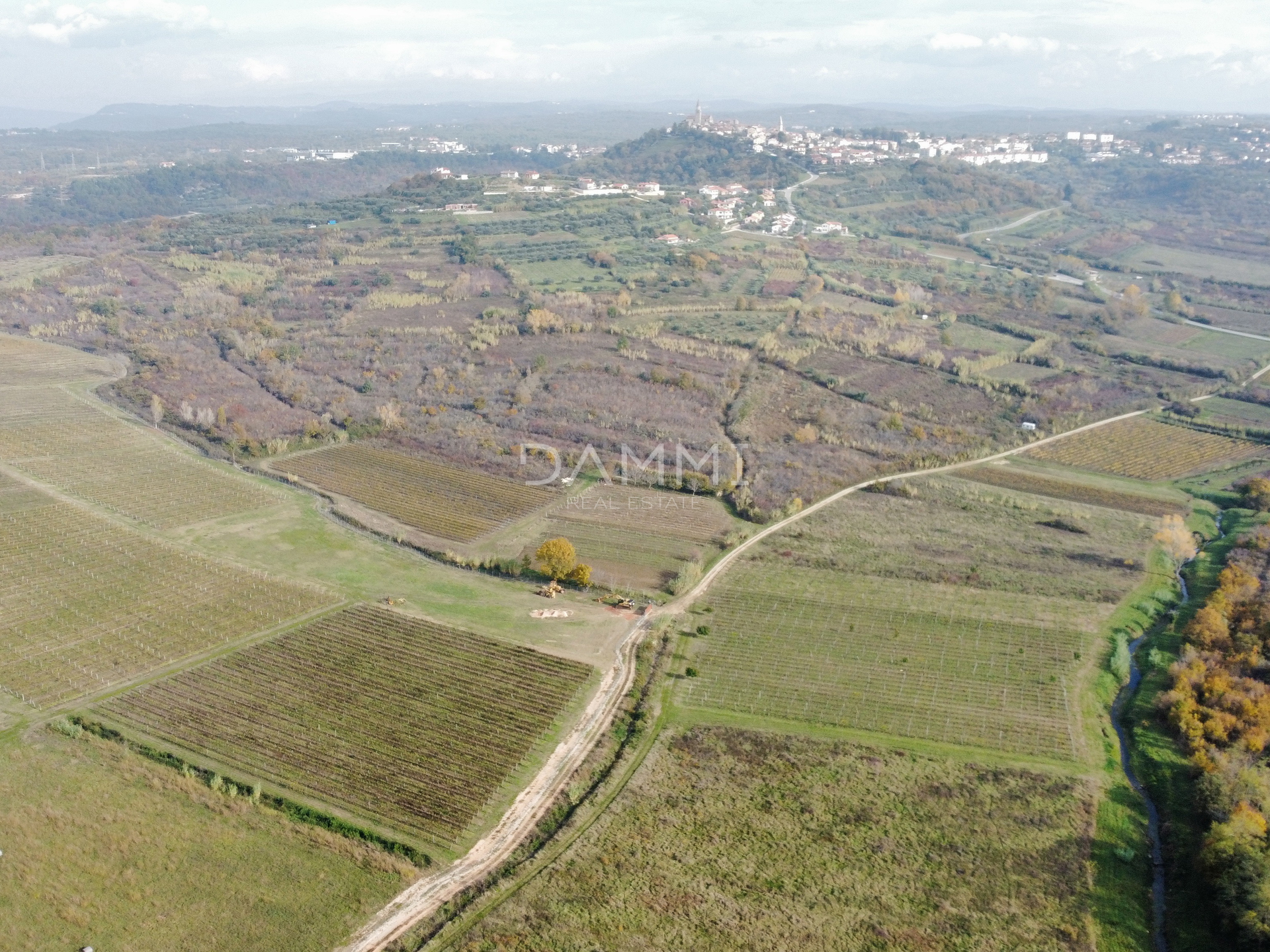 ISTRIEN, BUJE - Perfekter Weinberg in toller Lage 9350 m2